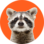 Animal Wow
